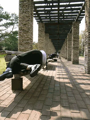 昭和記念公園で寝る人々