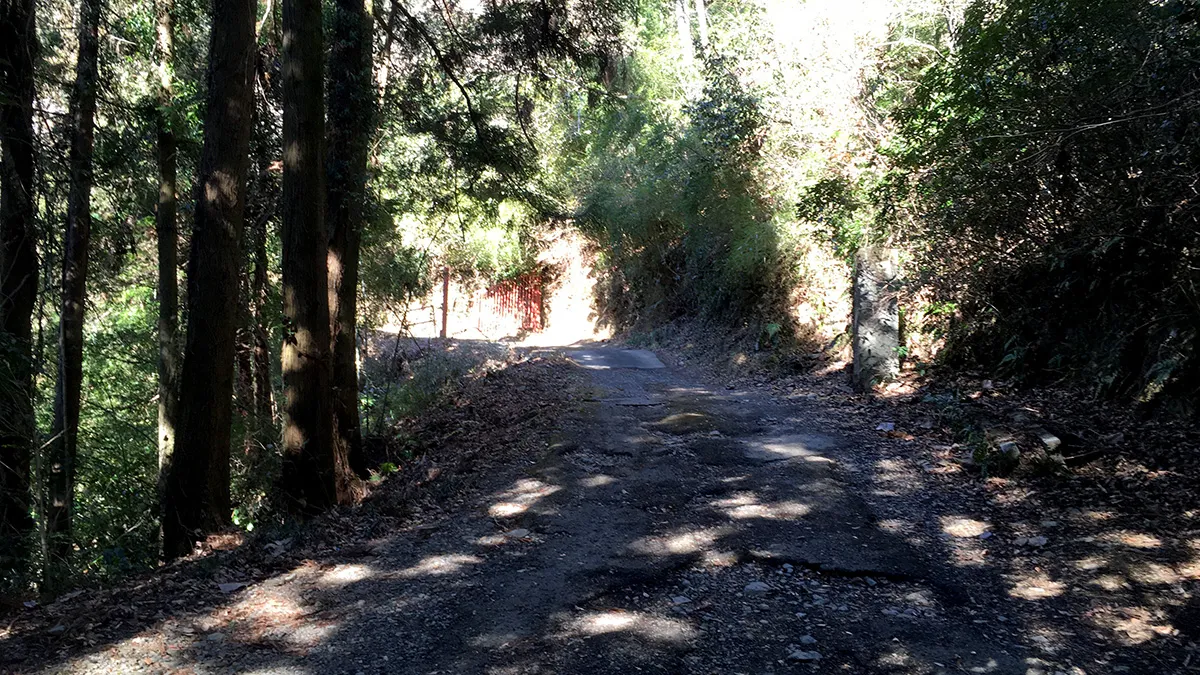 峯の薬師の入り口