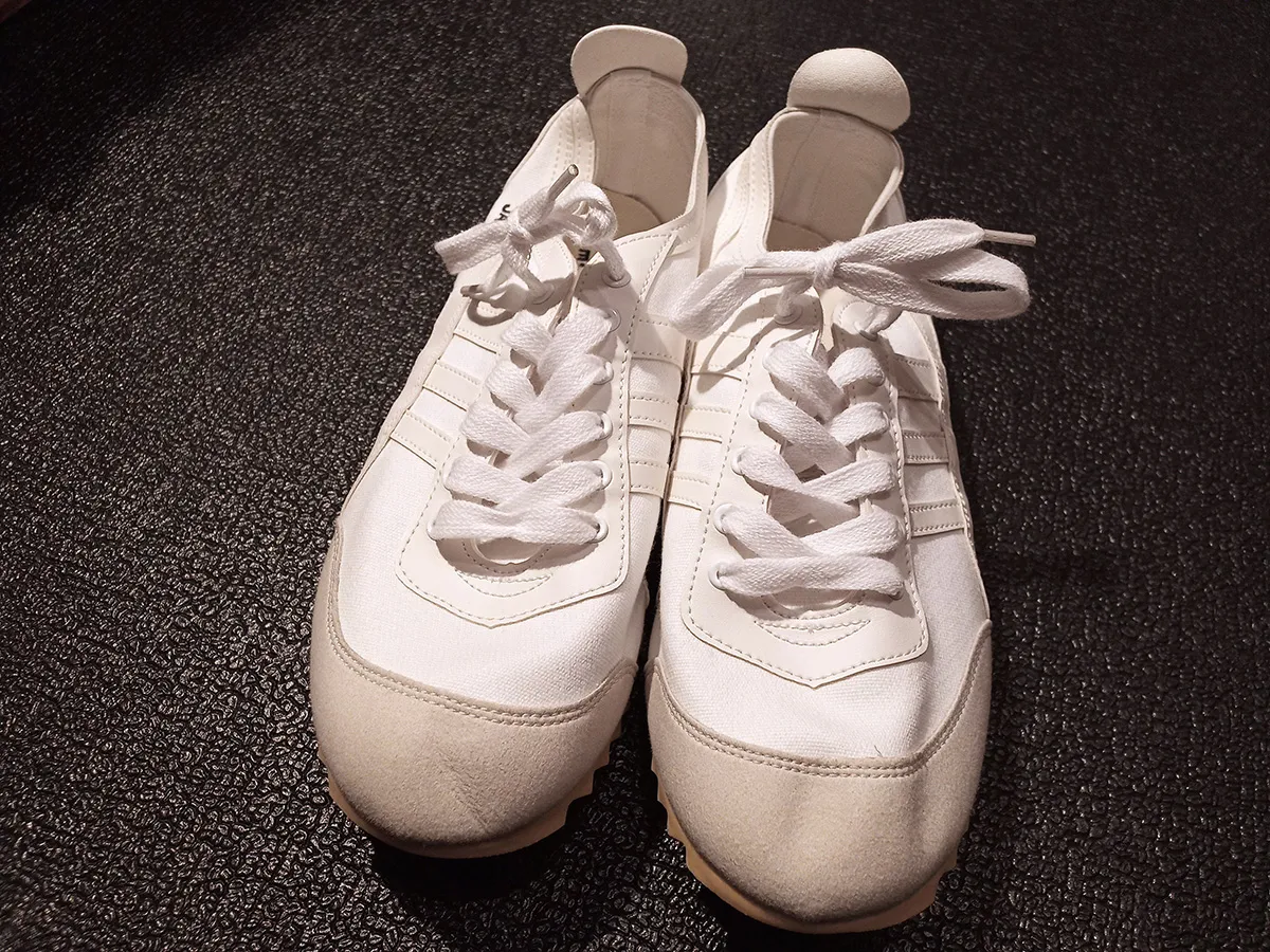 買ったばかりのジャガー エースG(白色)