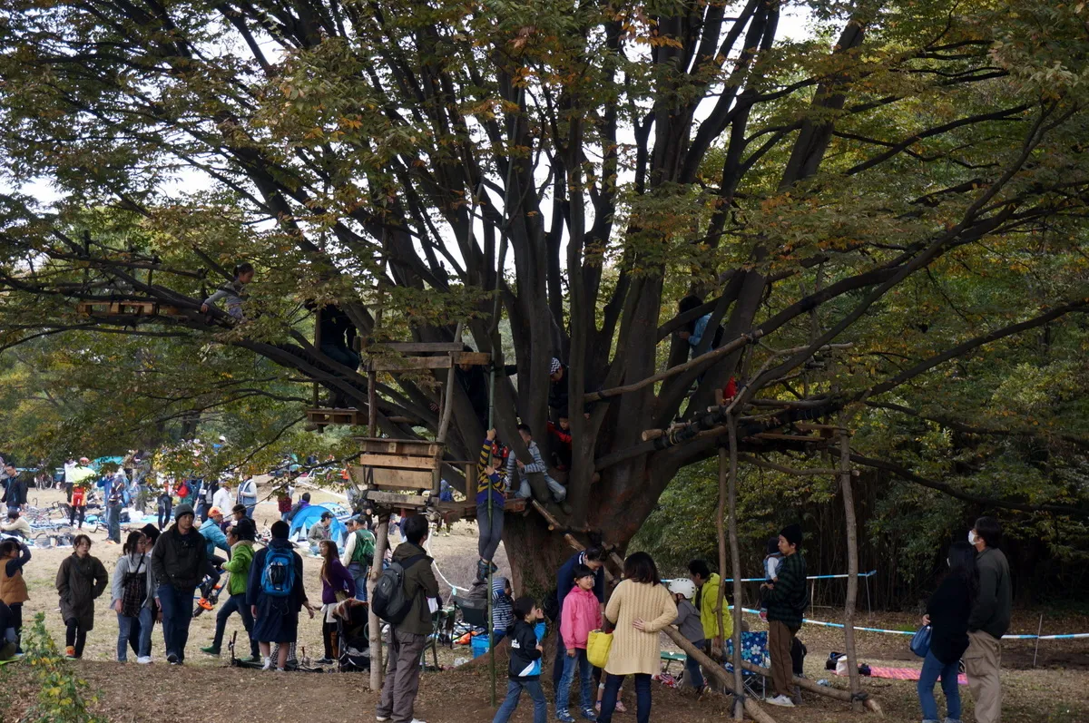 秘密基地っぽい遊具というか設備
