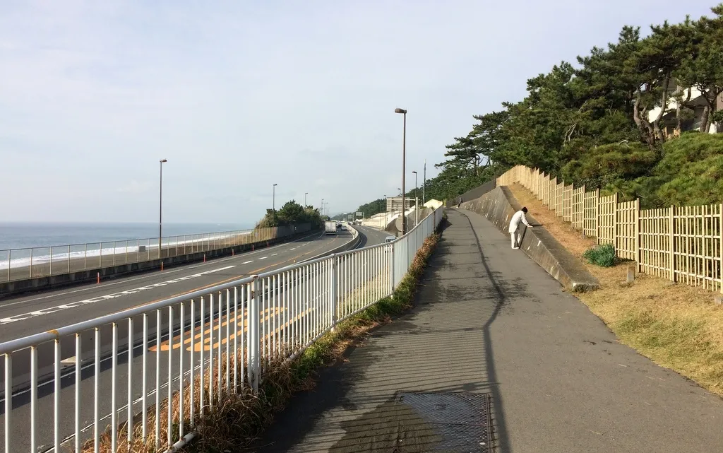 太平洋岸自転車道入り口