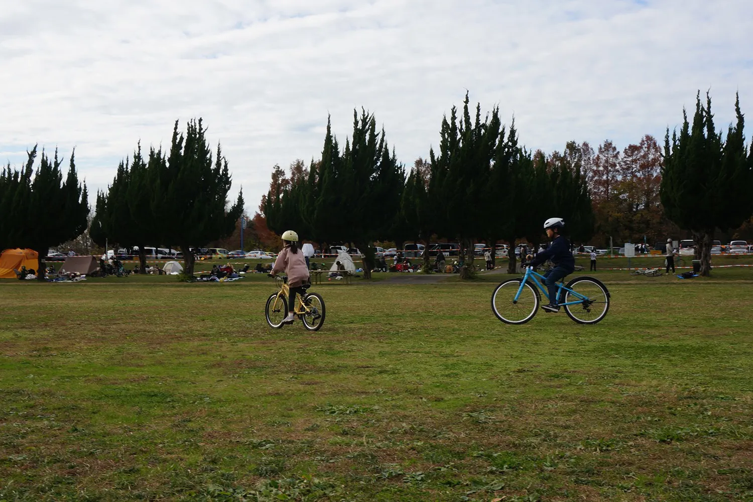 レンタルしたライトウェイの自転車
