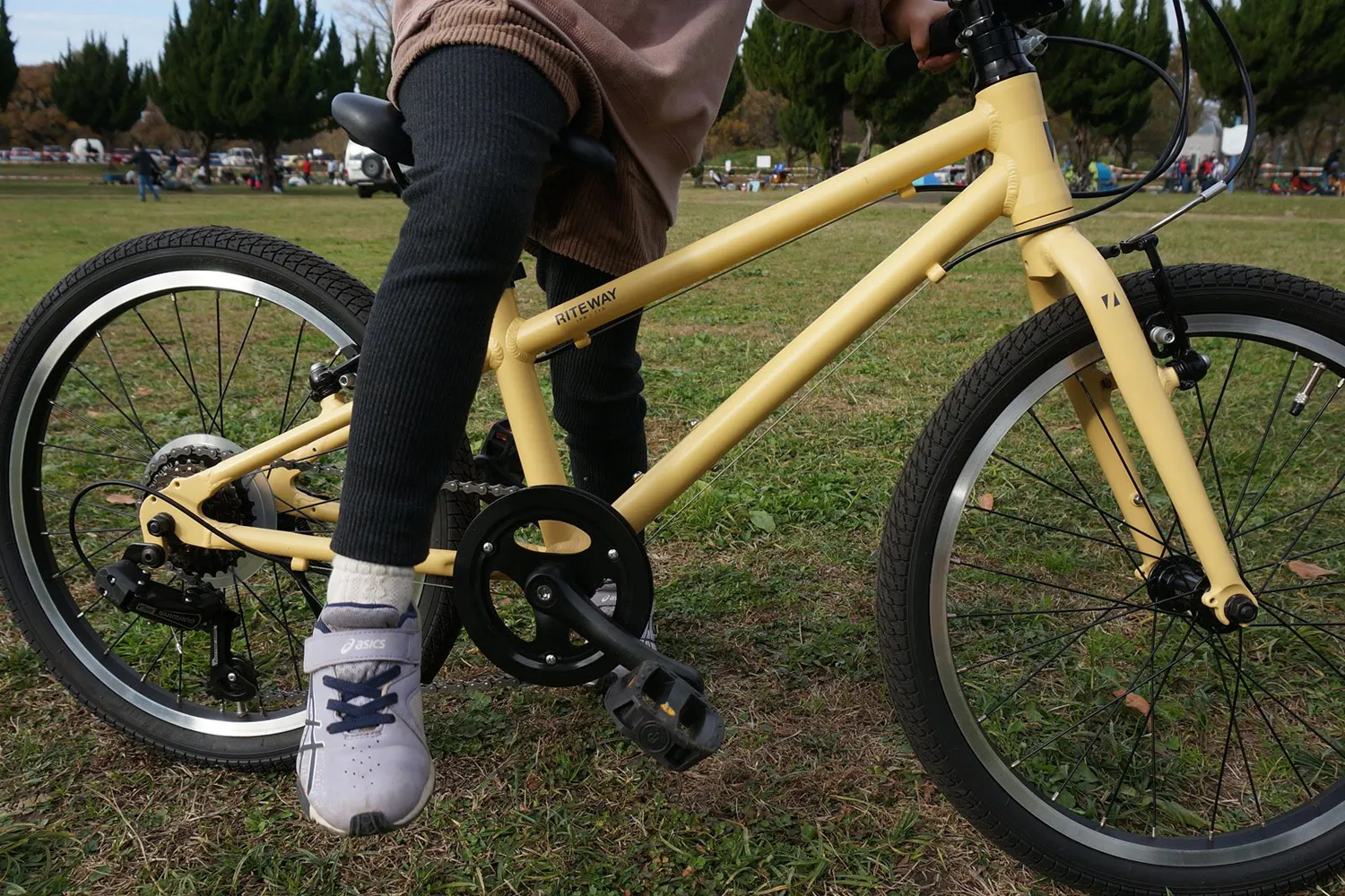 レンタルしたライトウェイの自転車