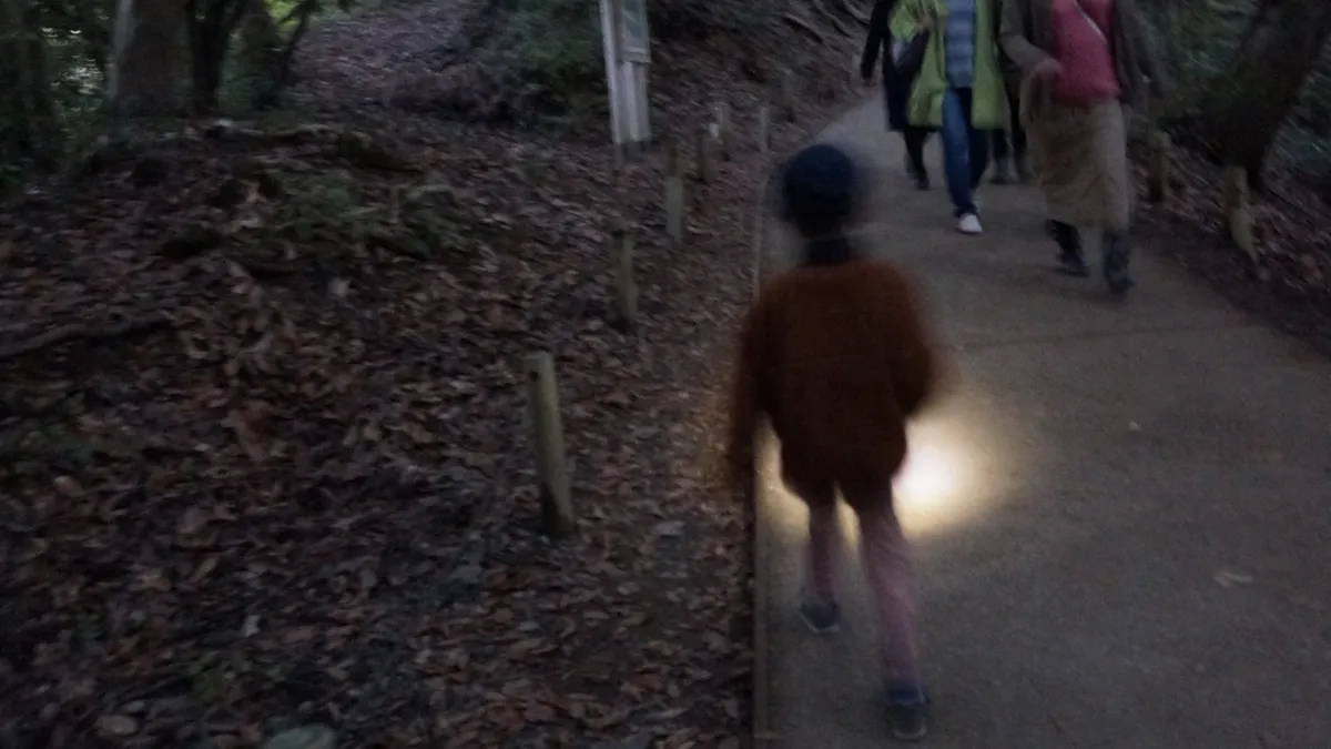 日が落ちてきた高尾山で懐中電灯を使う様子