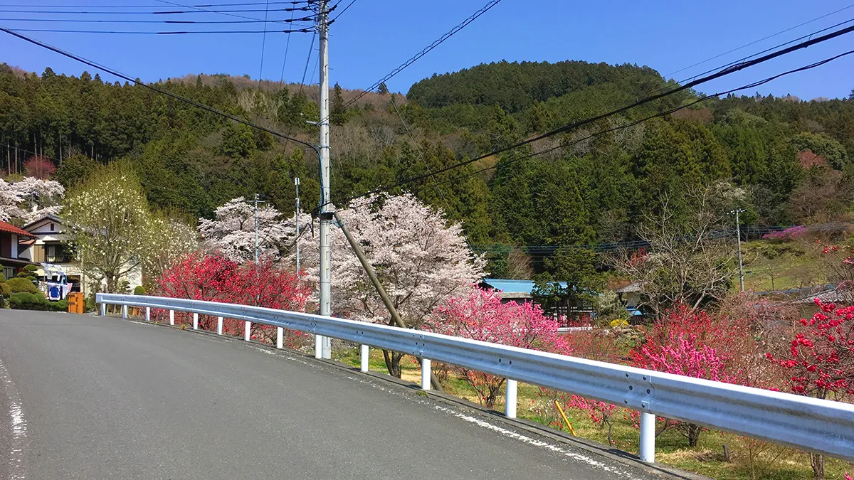 定峰峠の迂回路