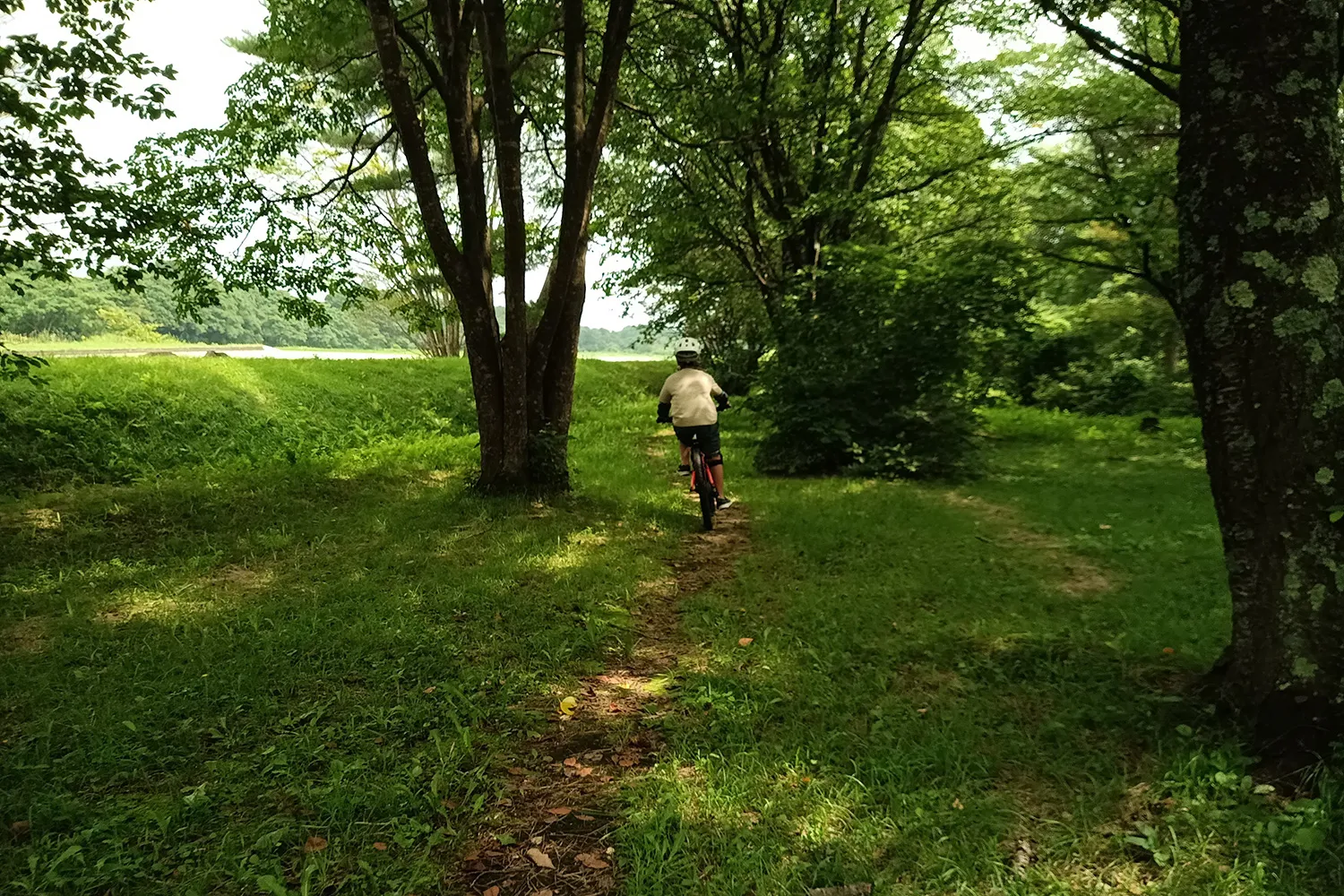 ロッジ クラブマンのMTB半日コース