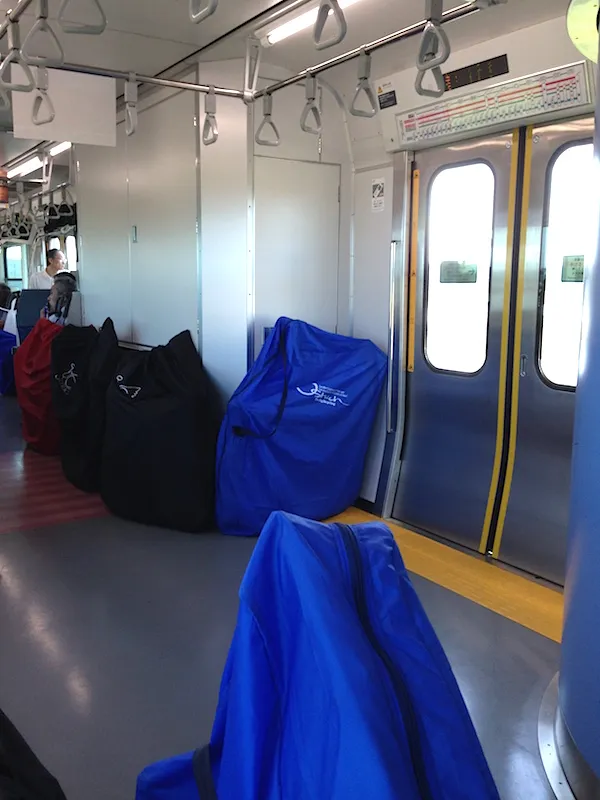 仙石線で見た他の人の輪行袋