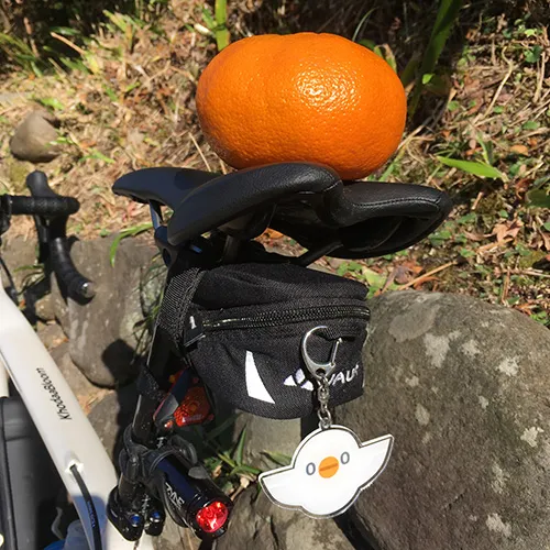 らぁ麺屋 飯田商店の醤油チャーシュー麺