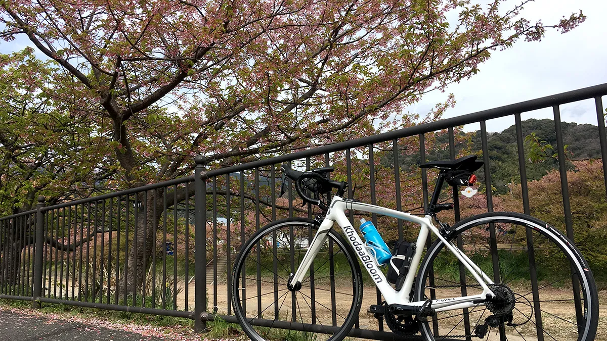 河津桜とFarna5800s
