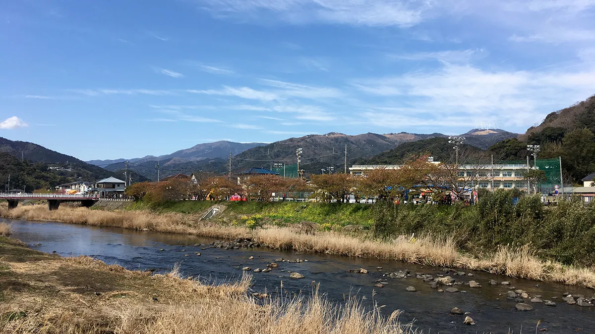 河津桜まつりの様子