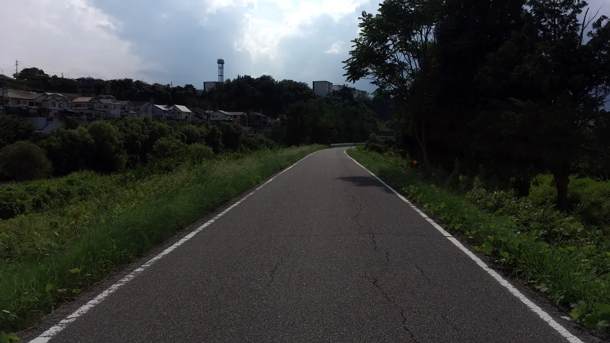 瀬戸川沿いの道