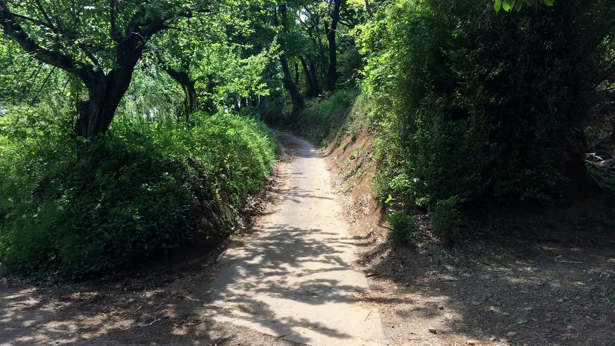 布田道の入口