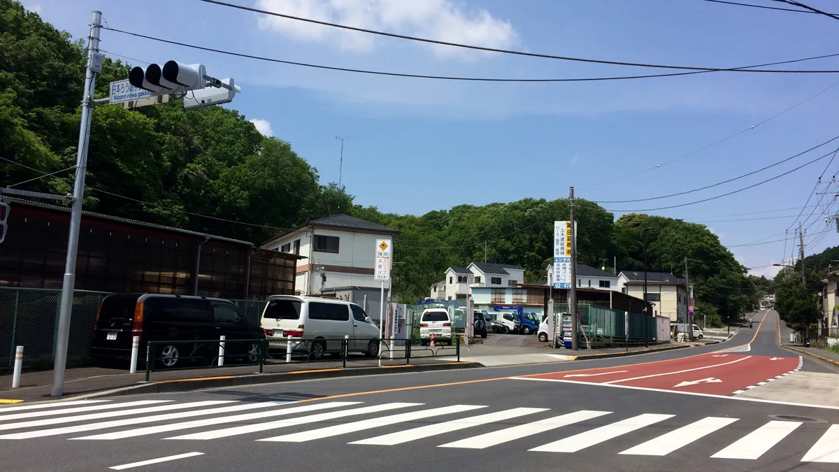 環境保全地域の写真