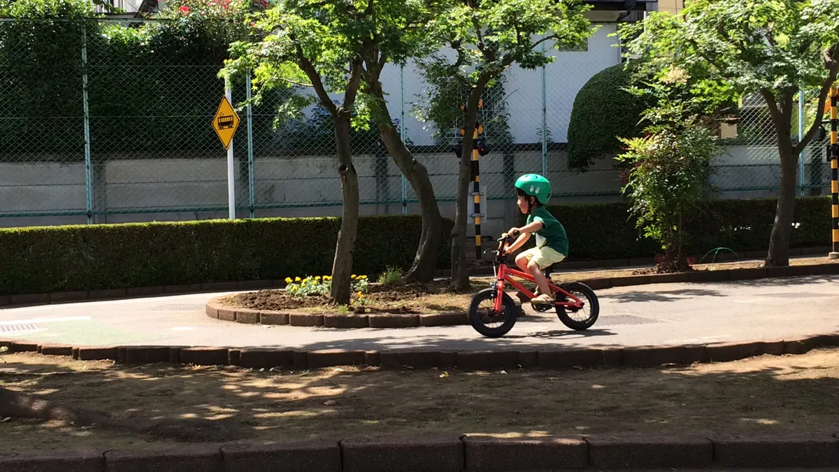 DURCUS ONE RECTUS 12