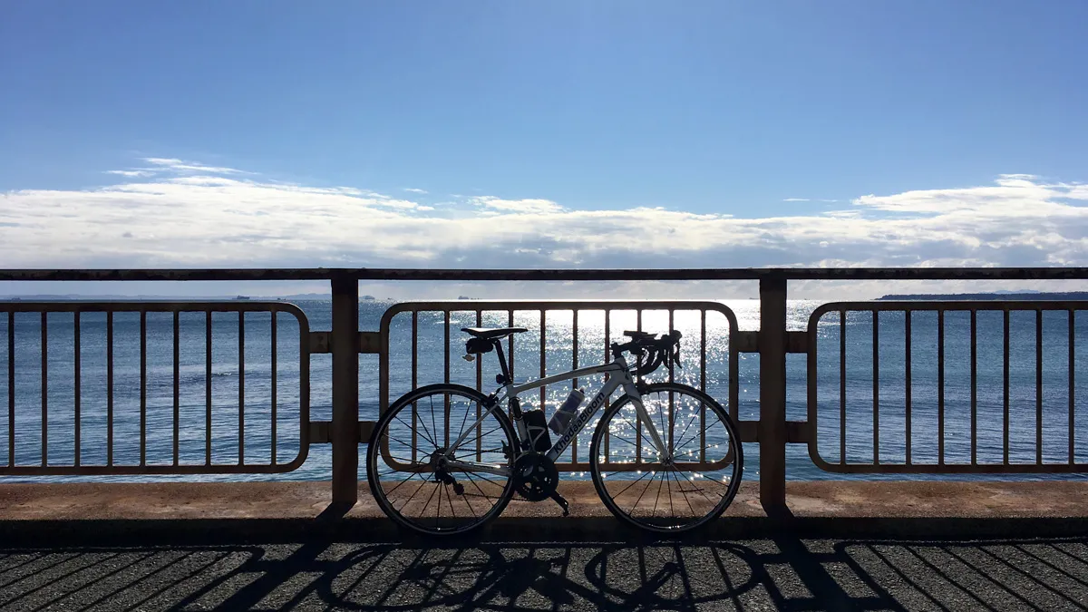 太平洋とFarna5800s