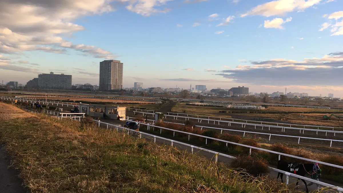 川崎競馬の練習場 練習風景