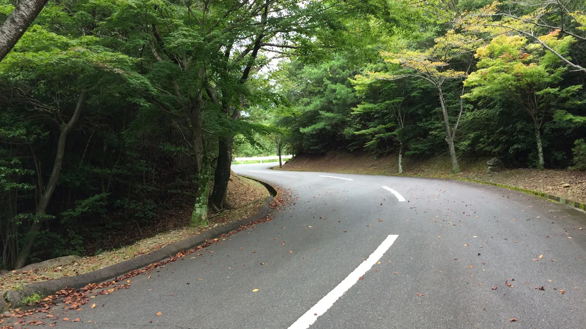 潮見公園の舗装された道