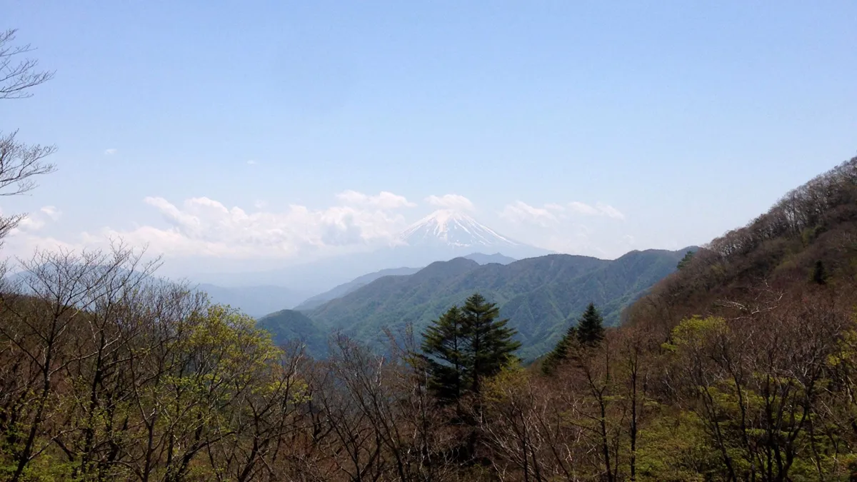 山頂からの富士山