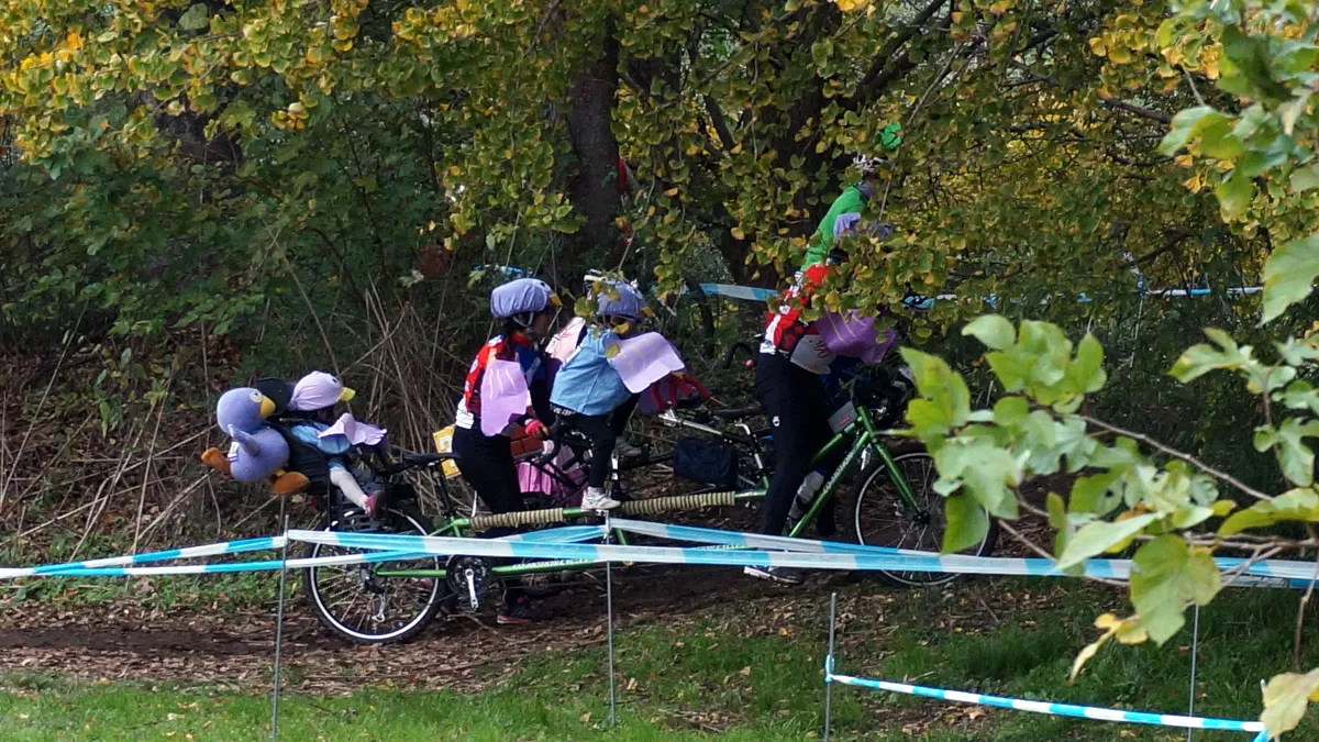 足付きするコバトン