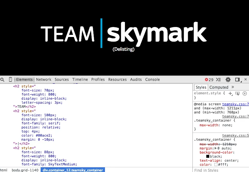 Team Skymark